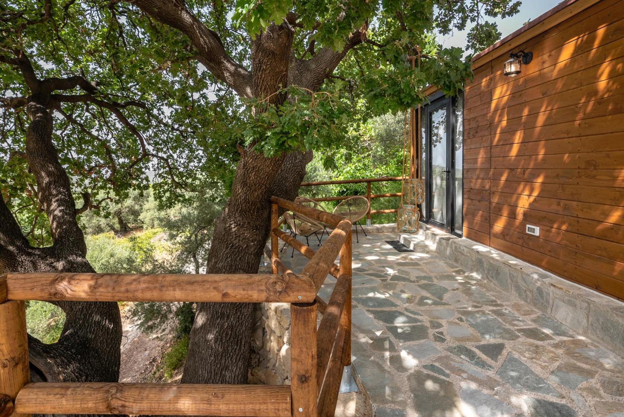 Wooden House *